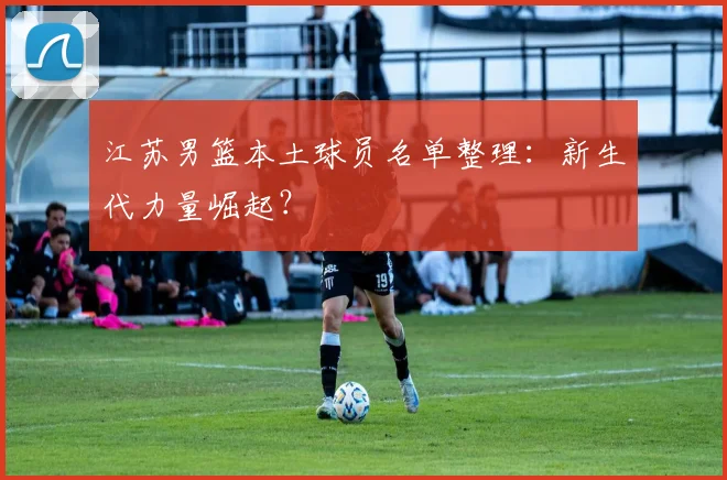 江苏男篮本土球员名单整理：新生代力量崛起？