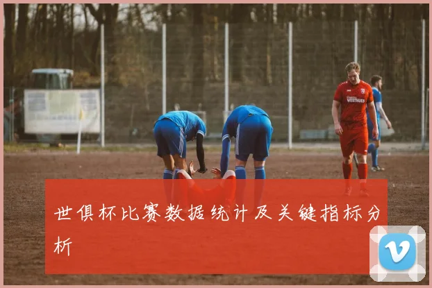 世俱杯比赛数据统计及关键指标分析